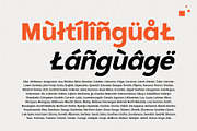 Gradvis Sans Serif Font (18 Fonts), a Sans Serif Font by Heinzel Std (Thumbnail 16 of 22)