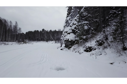 A stunning winter landscape, an Animal Photo by Media Whale Stock