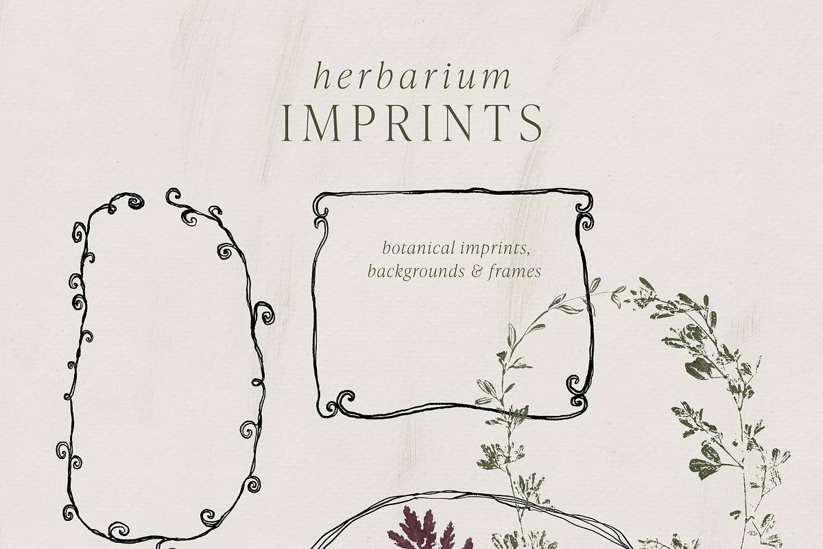 Botanical Imprints: Floral & Paper, an Object Graphic by Yuliya Derbisheva (Photo 8 of 10)