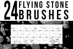 24 Flying Stone Brushes