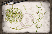 Mistletoe Watercolor Illustration, a Decorative Illustration by DioFlow (Thumbnail 5 of 5)