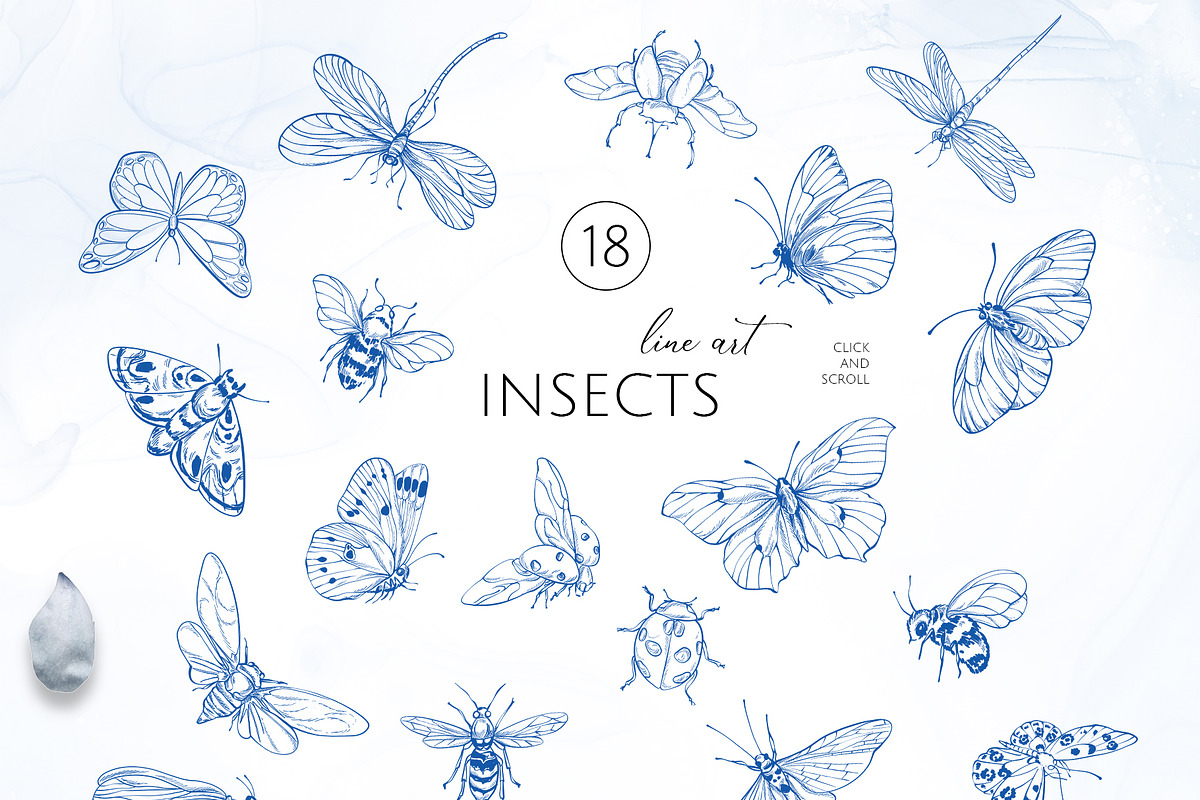INSECTS & FLOWERS line art set, a Decorative Illustration by Yuliia Lashevska (Photo 10 of 12)