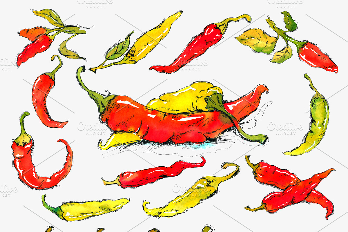 Hot and Chili, a Food Illustration by Aglia ART (Photo 2 of 5)