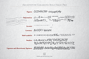Archive Garamond Pro Family of 4, a Font by Archive Type Fonts (Thumbnail 14 of 14)