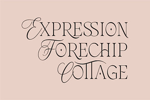 FURBELOWS - Fusion Display Typeface