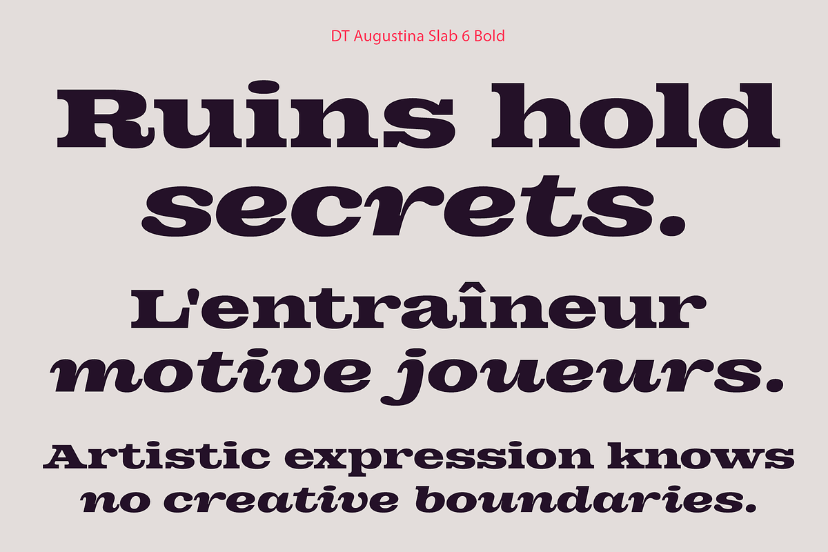 DT Augustina Slab 6 Subfamily, a Slab Serif Font by Deveze Type Foundry (Photo 14 of 30)