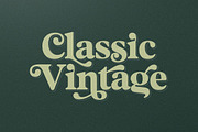 Magnilo Display, a Serif Font by Mulkan Nazir (Thumbnail 9 of 18)