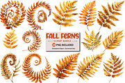 Fall Ferns Clipart Bundle, an Illustration by Pixels.Craft (Thumbnail 1 of 4)