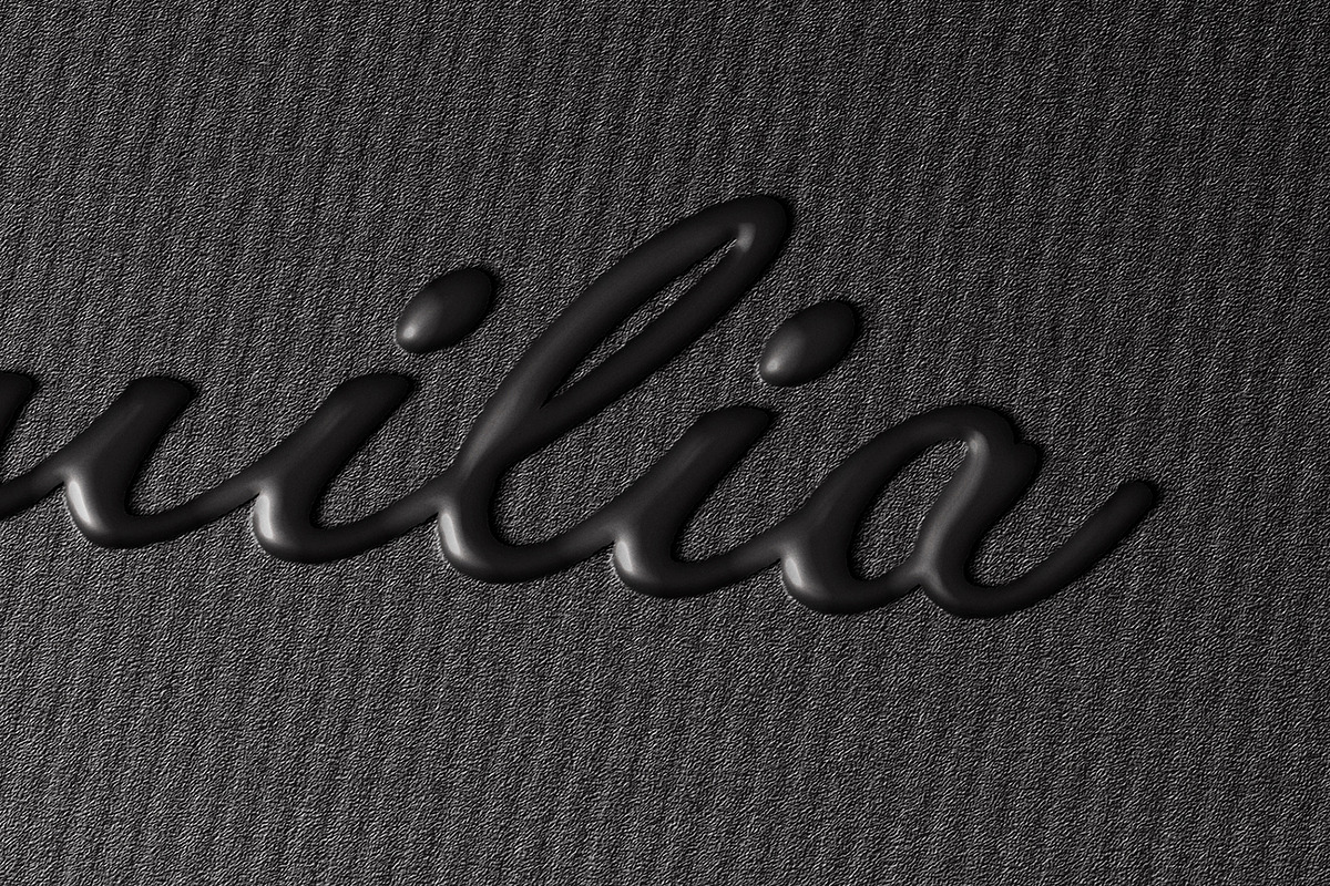 Logotype Mockup, a Merchandise Mockup by ZippyPixels (Photo 4 of 4)