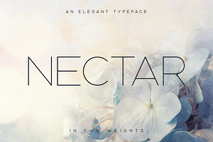 Nectar Typeface, a Sans Serif Font by Tugcu Design Co.