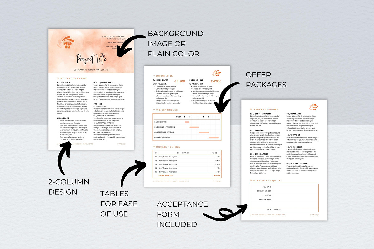 Professional Project Proposal Deck preview 6