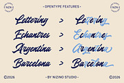 NZN Magnusa - Bold Script Font, a Font by Nizino Studio (Thumbnail 4 of 11)