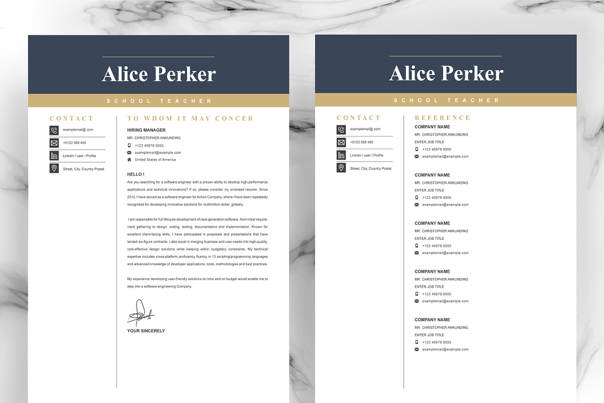 JOB WINNING RESUME - 50 TEMPLATES, a Resume Template by ResumeInventor (Photo 88 of 184)