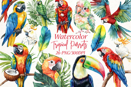 Watercolor Tropical Parrots Clipart, an Illustration by Libby Wishes