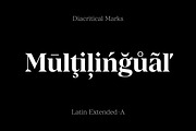 Manier – Sharp Serif Typeface, a Serif Font by Piotr Łapa (Thumbnail 4 of 15)