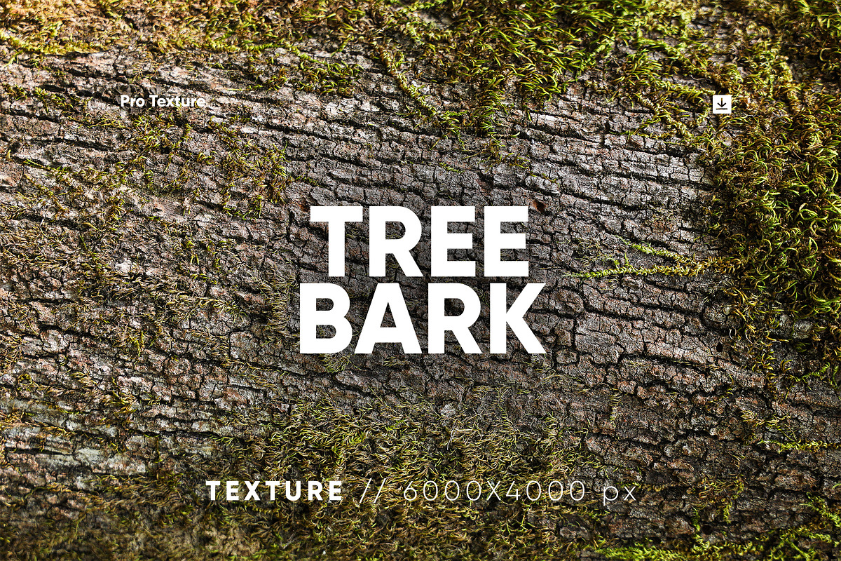 30 Tree Bark Textures HQ, a Texture Graphic by CCPreset (Photo 1 of 2)