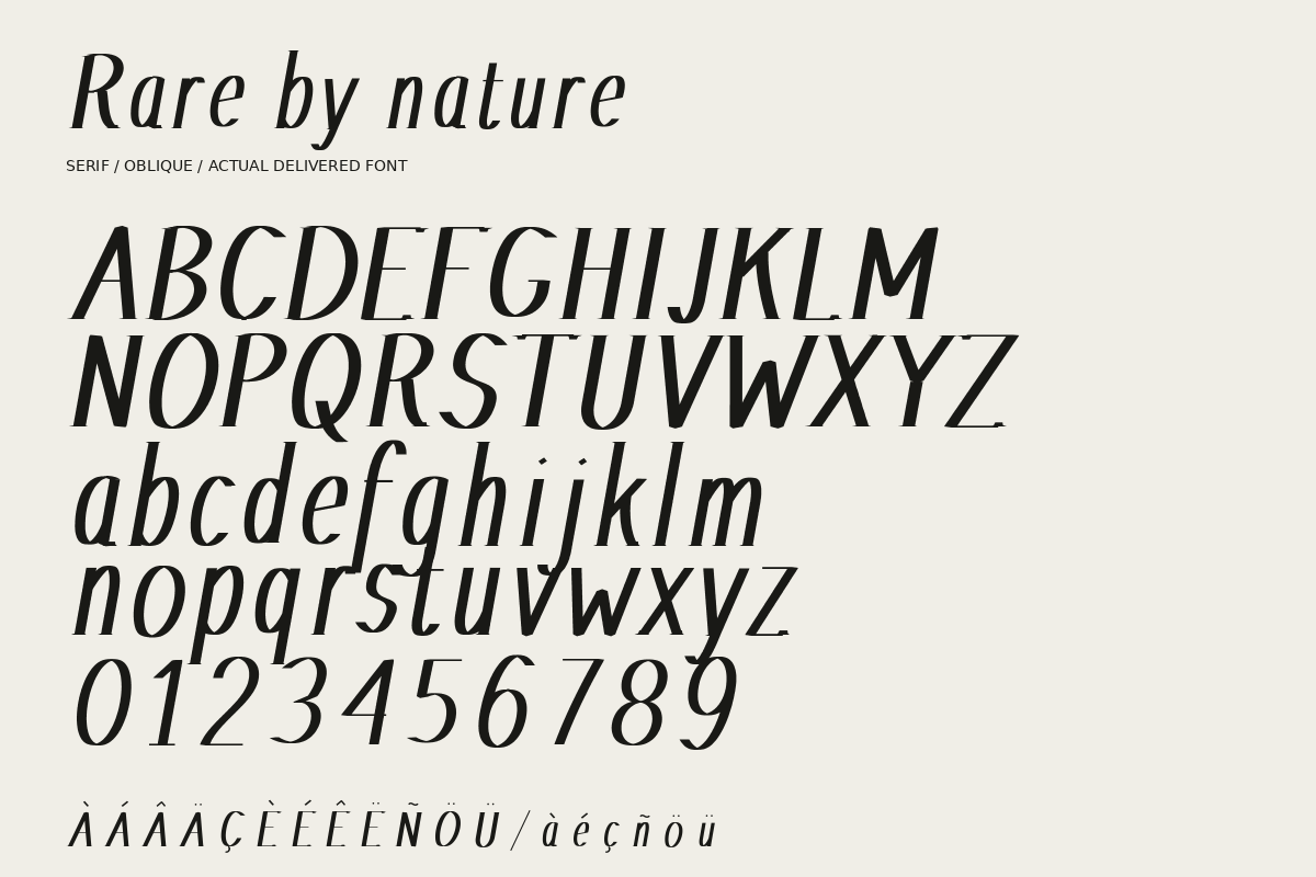 Nacre Oblique Editorial, a Serif Font by Colorsfav (Photo 9 of 11)