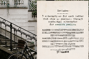 Populaire Typewriter Font & Extras