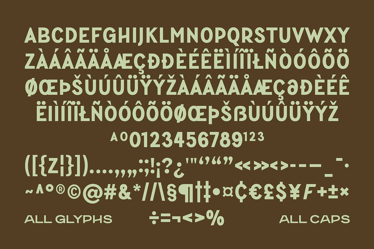 SFC Southbased, a Sans Serif Font by Skilline Supply Co. (Photo 5 of 5)