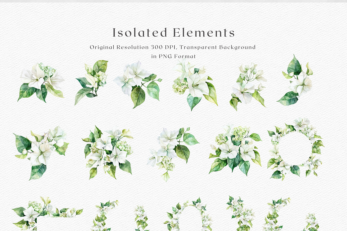 Watercolor Bougainvillea &Hydreangea, a Decorative Illustration by ThaismotaCreativeCo (Photo 9 of 11)