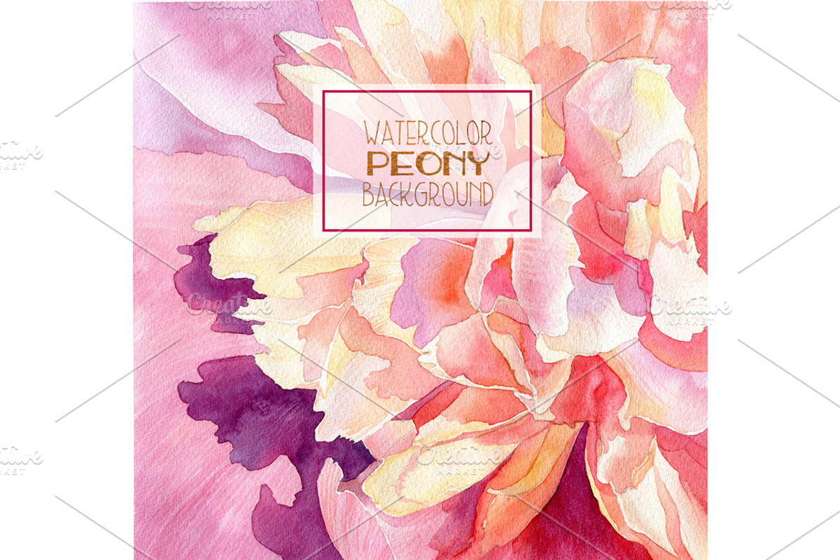 Watercolor peony background, a Background Graphic by Natasha Koltsova