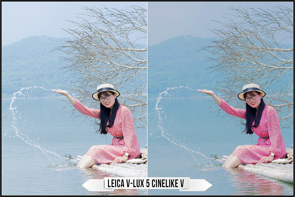 Leica Film Styles, a Plug-in Add-On by Raztrend (Photo 8 of 30)