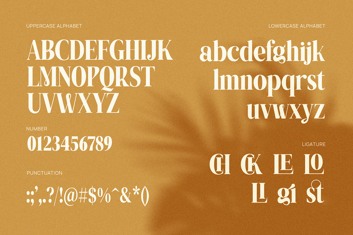 Mistar Elegant Serif Font, a Serif Font by Graphicxell (Photo 10 of 10)