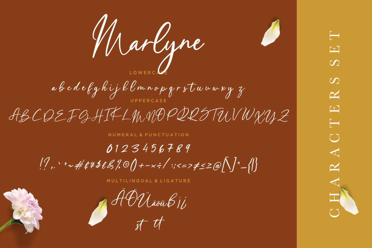 Marlyne Signature Business Font preview 7
