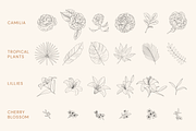 Vector Vintage Ink Flowers & Plants, an Object Graphic by Lisa Jacobs Design (Thumbnail 2 of 4)