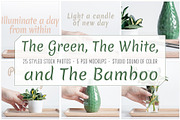 The Green, The White and The Bamboo, an Arts & Entertainment Photo by Sound of Color (Thumbnail 3 of 10)