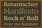 GARDINO - Art Nouveau Typeface, a Serif Font by Nasir Udin (Thumbnail 4 of 18)