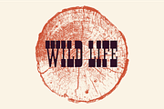 Portage : Adventurous Slab Font, a Slab Serif Font by Black Lab Type (Thumbnail 4 of 5)