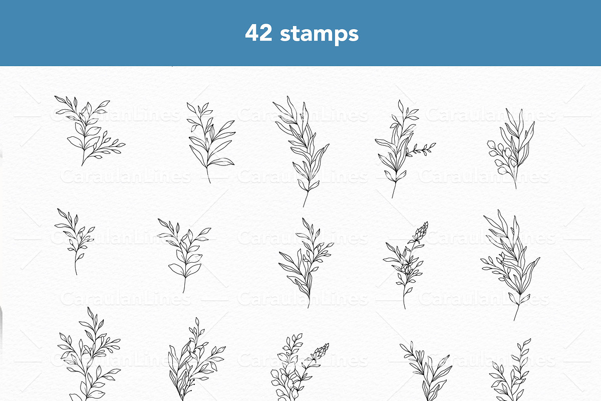 Greenery Procreate Stamps, a Brush Add-On by CaraulanStore (Photo 4 of 8)