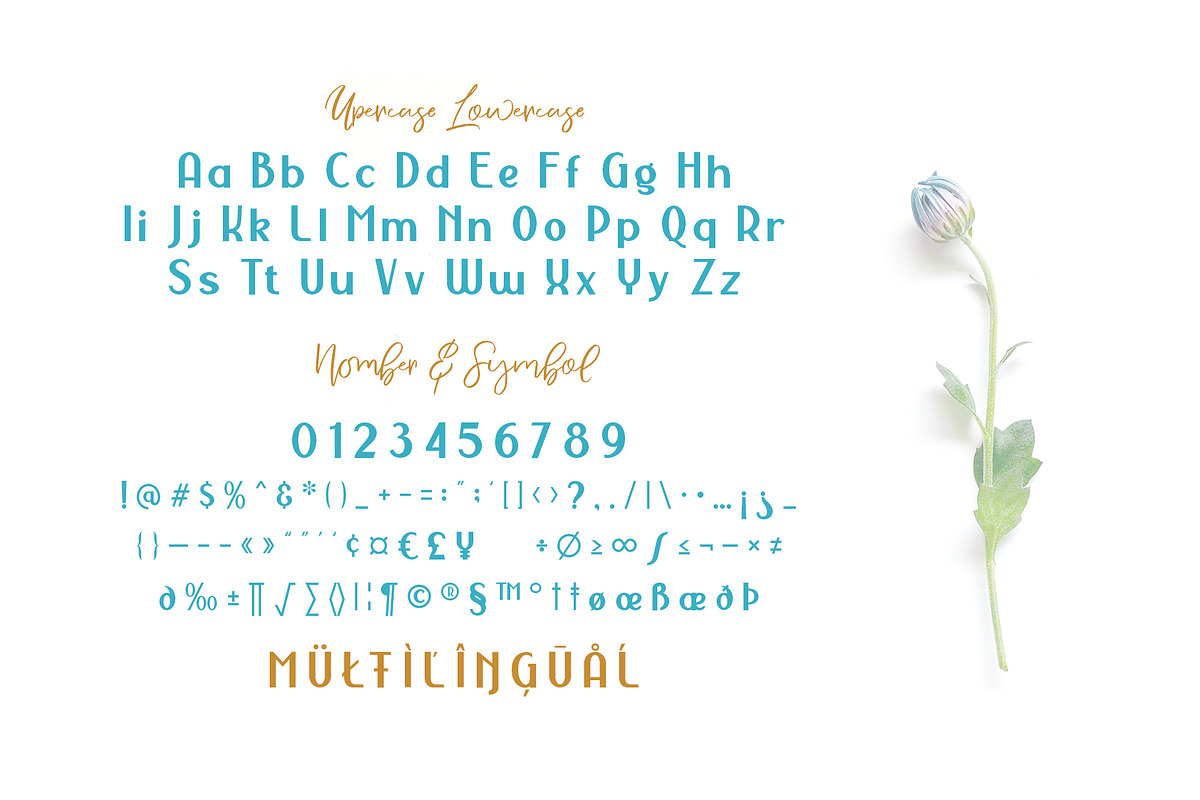 NERMOLA Scripcy Font preview 6
