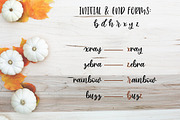 Cinnamon Sugar Script Font, a Script Font by Jordyn Alison Designs (Thumbnail 7 of 9)