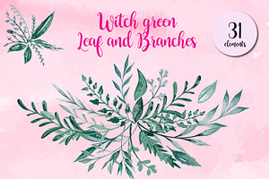 Witch Green Leaf and Branches