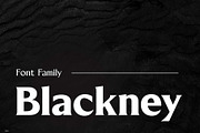 Blackney Font Family, a Serif Font by Arterfak Project (Thumbnail 1 of 14)