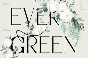 Evergreen -winter Florals