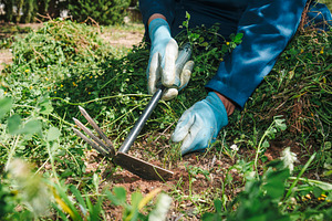 farmer man uses a tool to remove grown weeds, a Photo by Nito