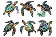 Watercolor Turtles Clipart, an Illustration by Libby Wishes (Thumbnail 3 of 3)