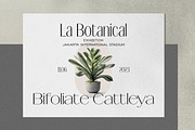 Signora Typeface, a Sans Serif Font by Glowtype (Thumbnail 5 of 12)