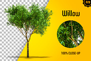 CUT OUT TREES - 60 PCS BUNDLE, a Packaging Mockup by 3DSTORE (Thumbnail 29 of 63)