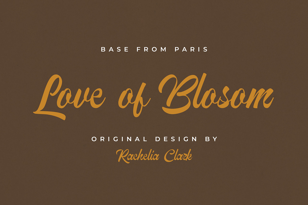 Grecina Vintage Script Font, a Script Font by RantautypeStudio (Photo 11 of 15)