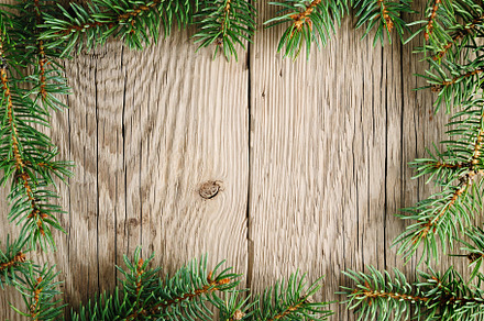 Spruce branches stock photo containing christmas and tree preview 6