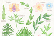 Cute Safari Jungle Animals Clipart, an Animal Illustration by ekossa_art (Thumbnail 4 of 7)