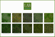 Seamless Summer Grass Ground Cover, a Texture Graphic by Lab Designs (Thumbnail 3 of 3)