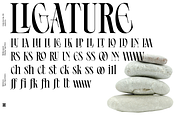 Ephidona, a Serif Font by Bagerich Type Foundry (Thumbnail 3 of 16)