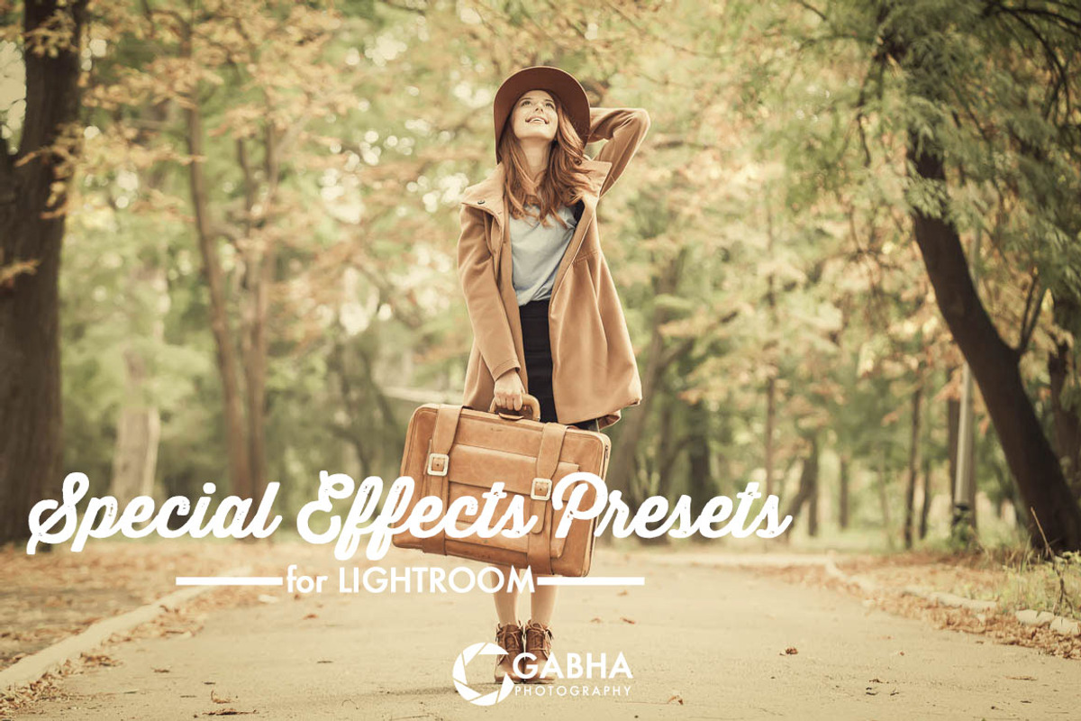 Special Effects Presets Lightroom preview 5