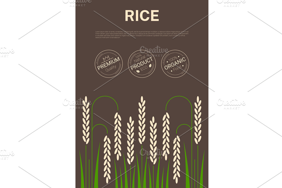 Cereal rice stalks cover poster, a Food Illustration by Vector Tradition
