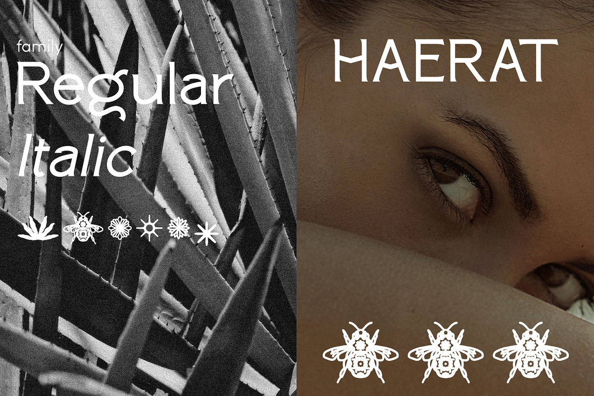 Paterna Serif Font, a Serif Font by Hishand Studio (Photo 5 of 10)